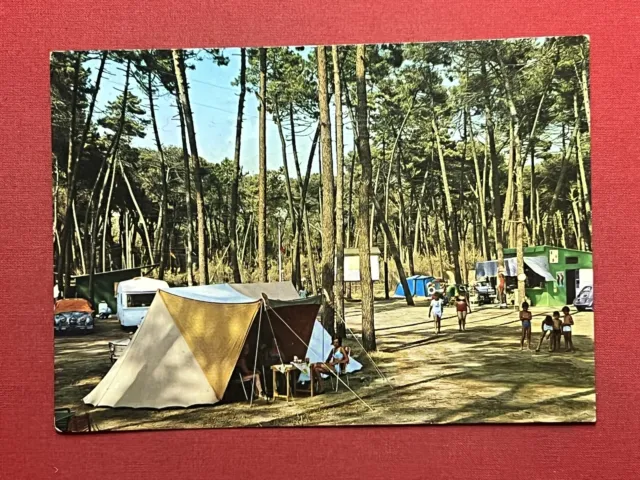 Cartolina - Marina di Massa - Camping - 1974