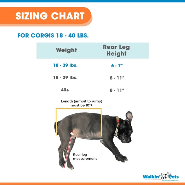 Corgi Dog Wheelchair - for Small Dogs 18-40+ Pounds - Veterinarian Approved 2
