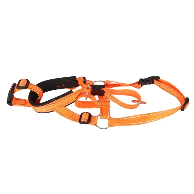 Supporto testa cane muso controllo anteriore design arancione regolabile collare testa cane