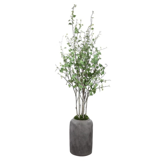 Moorlands Furlong - 77.5 inch Potted River Birch Stem - Decor - General -