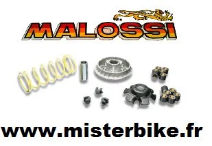 Variateur MALOSSI Multivar 2000 quad KYMCO MAXXER 300