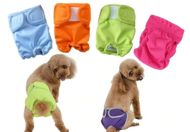 Hundehöschen Hunde Welpe waterproof Läufigkeitshose Schutzhose 4 Farben S-L | H3