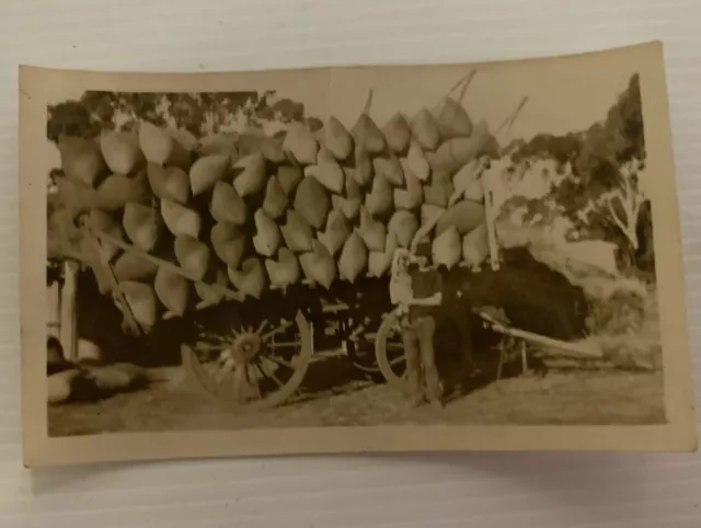 Wagon Laden With Sacks of Wool/ Wheat/Oats Etc and a Man Holding an Infant.Aust