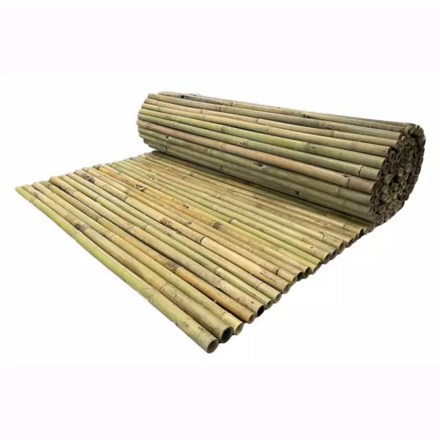 Arella Canna di Bamboo Naturale River per Recinzioni Coperture Privacy in Rotoli