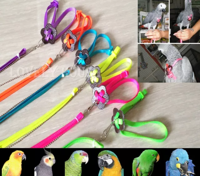 Harnais perroquet/oiseau réglable multicolore