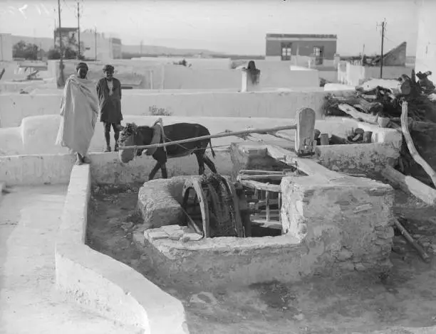 Hooded donkey plods around attached to a shaft which turns a wheel- 1930s Photo