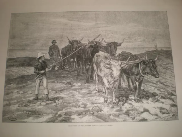 Ploughing on the Sussex Downs by F Dadd 1881 print ref AV