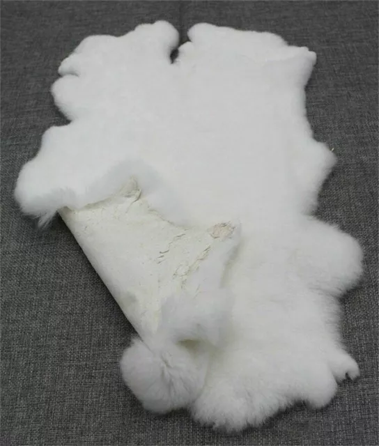 2X Rabbit Skin Hide Real Fur Pelt High Quality Leather For Animal Training Craft 2X Rabbit Skin Hide Real Fur Pelt High Quality Leather For Animal Training Craft