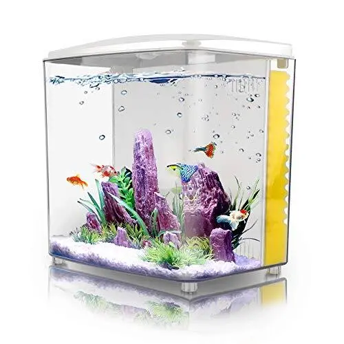 1.2Gallon Betta Aquarium Starter Kits Square Fish Tank with LED Light and White