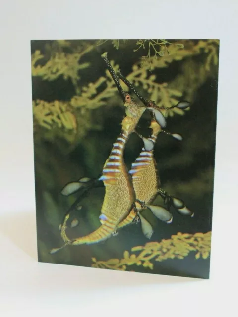 Lang Georgia Aquarium Greeting Card 2007 Weedy Seadragon Unmarked USA Made