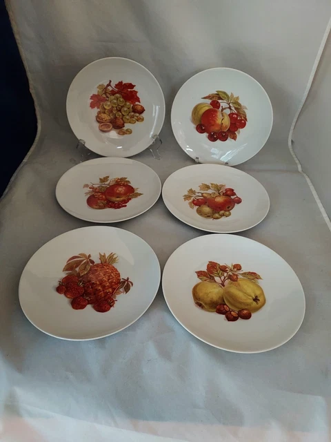 6 Bareuther Waldsassen Bavaria Germany Salad Dessert Autumn Harvest Plates NIB
