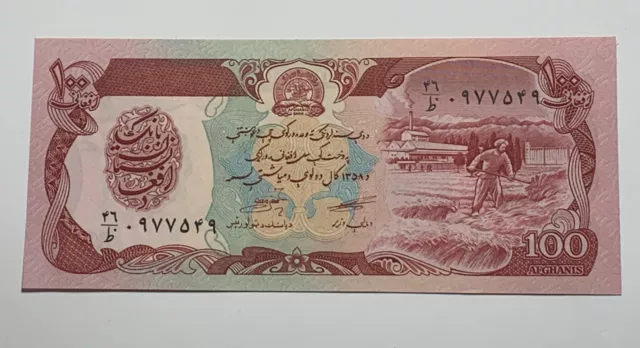 Afghanistan - Nd - 100 Afghanis - Banknote Uncirculated