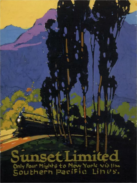 4159.Sunset Limited.southern pacific lines.to NYC.POSTER.Home School art decor