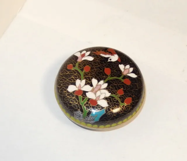 Chinese Cloisonne Black Enamel Floral Bird Design Small Jar Bowl Box