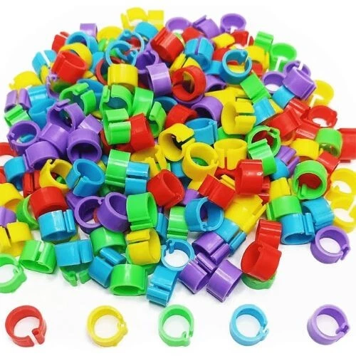 100 Bagues Pour Pieds D'Oiseaux - 8mm - Anneaux D'Identification Plastique - Pour Pigeons, Perroquets, Volailles