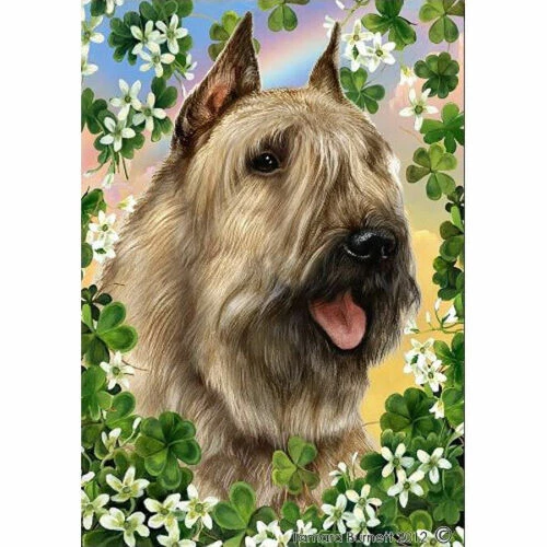 Clover Garden Flag - Fawn Bouvier des Flandres 314131