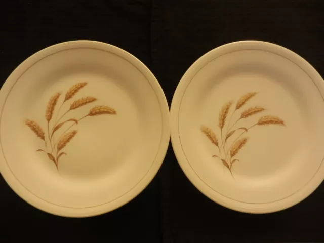 Edwin Knowles China GOLDEN WHEAT set of 2 Dinner Plates 9 7/8"  Vintage EUC