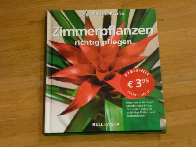 Zimmerpflanzen richtig pflegen