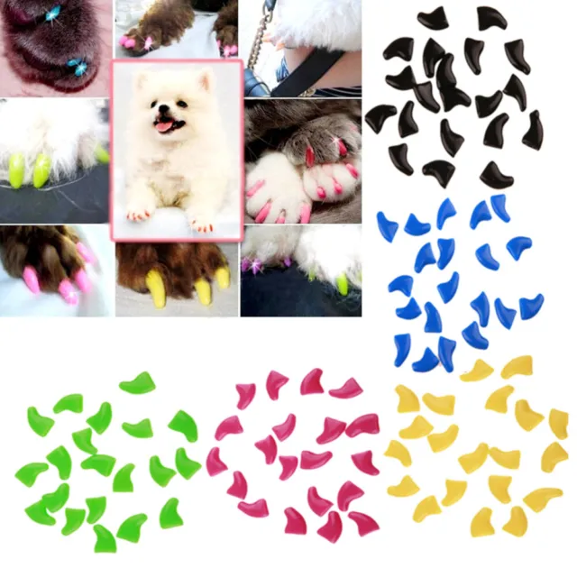 100 piezas tapas de uñas para gatos y perros mascotas
