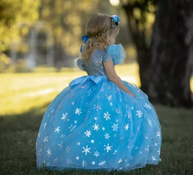 Frozen Princess Elsa Fancy Birthday Dress Costume, Contact me for 40% discount 2