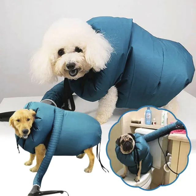 Asciugacapelli per cani da compagnia asciugacapelli portatile veloce semplice strumento professionale blu AU