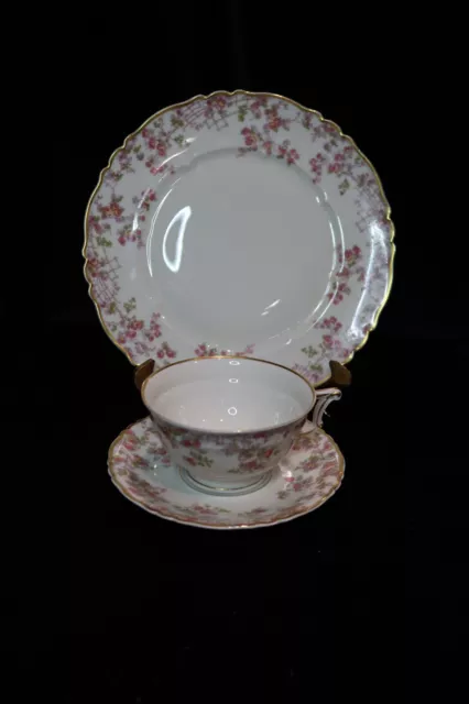 Haviland Limoges France Trellis Floral Luncheon Plate & Footed Cup & Saucer