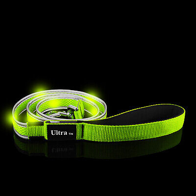 Verde LED Lampeggiante Guinzaglio Si Illumina Luminoso Pet Sicurezza Camminare