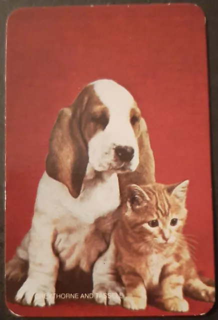 70s Blank Back Swap Card, Cat And Dog