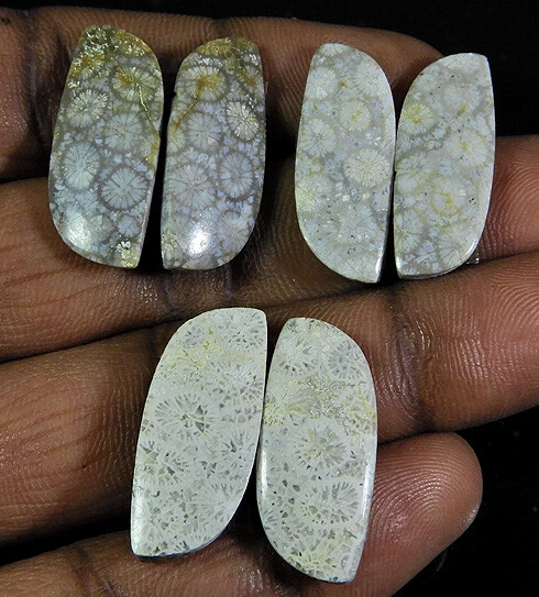3Pair Natural Fossil Coral Matched Pair Earrig Making Gemstone 9X10-25X35MM L172