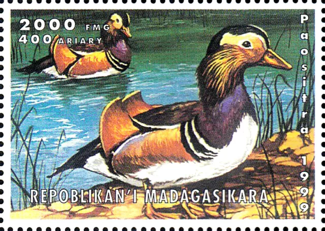 Madagaskar postfrisch MNH Tier Wildtier Ente Seevogel Wasservogel Vogel / 42