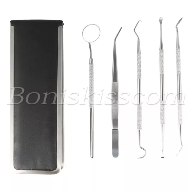 5pcs Pro Stainless Steel Oral Teeth Care Dental Hygiene Deep Cleaning Tool Set
