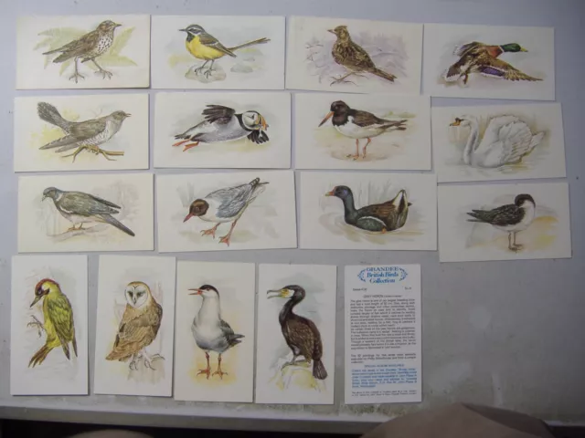 grandee cigar cards British Birds Collection 17/32 variable condition