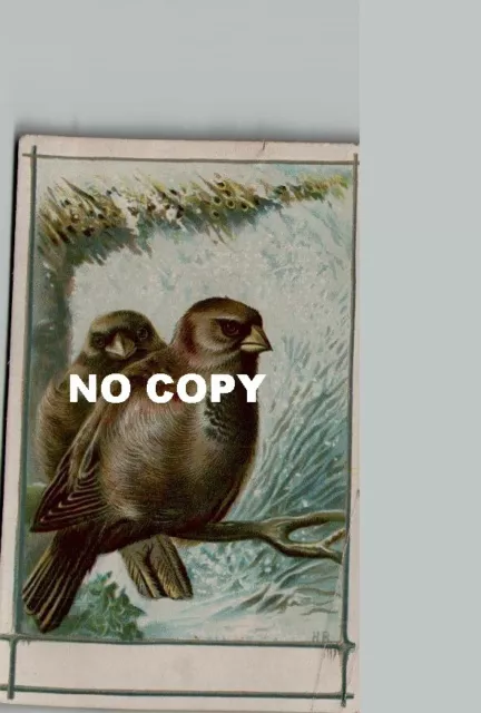 Lot de 2 Chromos  Chocolat des PERES TRAPPISTES - Oiseaux posés sur la main