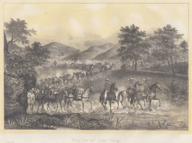 América Del Sur los Andes Original Litografía 1844