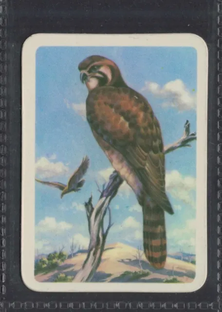 BROWN HAWK - 50 + year old Aus Trade Card # 46