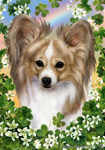 Clover Garden Flag - Lemon and White Papillon 314431