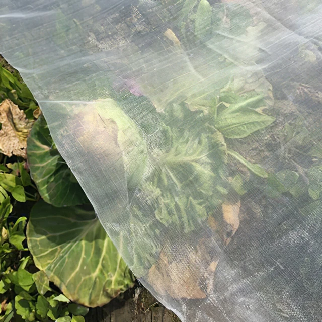 GARDEN INSECT MESH Carrot Fly Netting Garden Antimosquito Protective