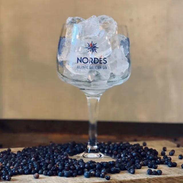 Gin Nordes - 6 Bicchieri da Cocktail Decorato Originale Made in Italy ingrosso