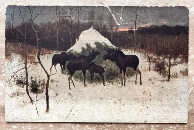 1900s Vintage Postcards Elk Nature Haystack Old postcards
