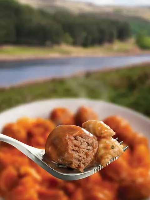 Wayfayrer Foods - Heat in the Bag Meal  - Meatballs and Pasta 2