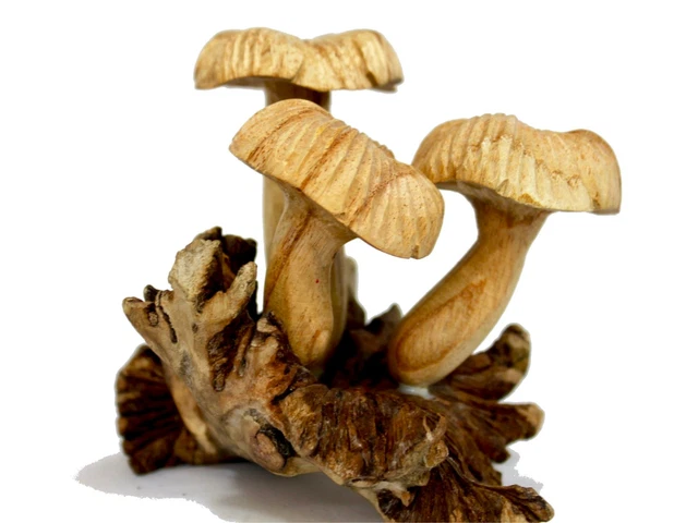 Magic Bali Mushroom Statue Parasite Wood Carving Balinese Art Sculpture