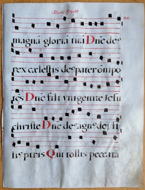 Original Blatt Manuskript Antiphonarium Pergament Folio (T) - 1550