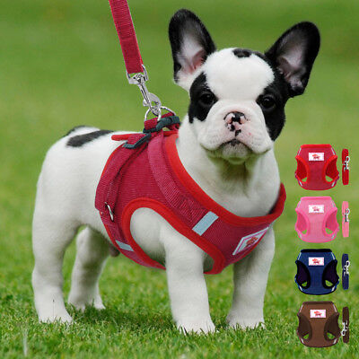 Mesh Padded Dog Harness Leash Pet Puppy Vest Small Medium Dogs Walking Supplies