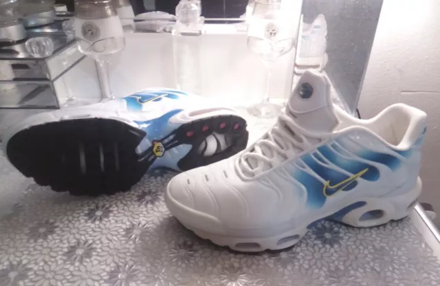 Tn requin store gay