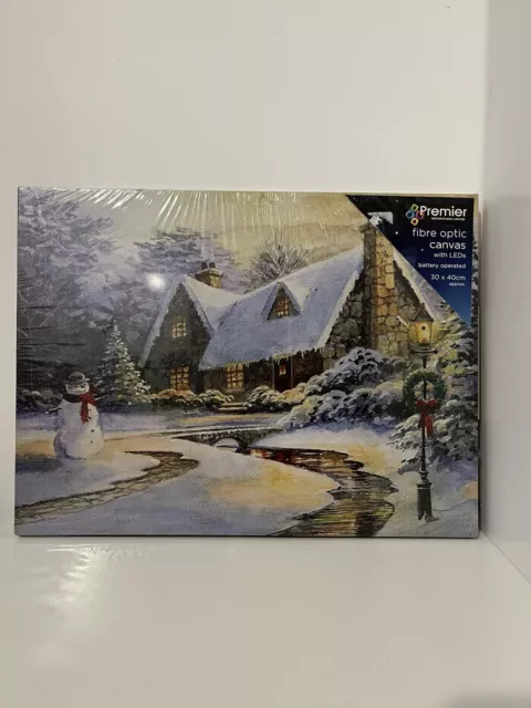 Neu Weihnachten Premier Glasfaser Leinwand mit LEDs batteriebetrieben 30 x 40 cm