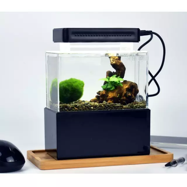 Mini Complete Tank Nano Desktop Fish Aquarium Tank Smallest Fresh Sea Aquarium