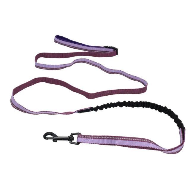 Small Purple All-In-One Shock Absorber Hand Free Running Dog Walking Lead