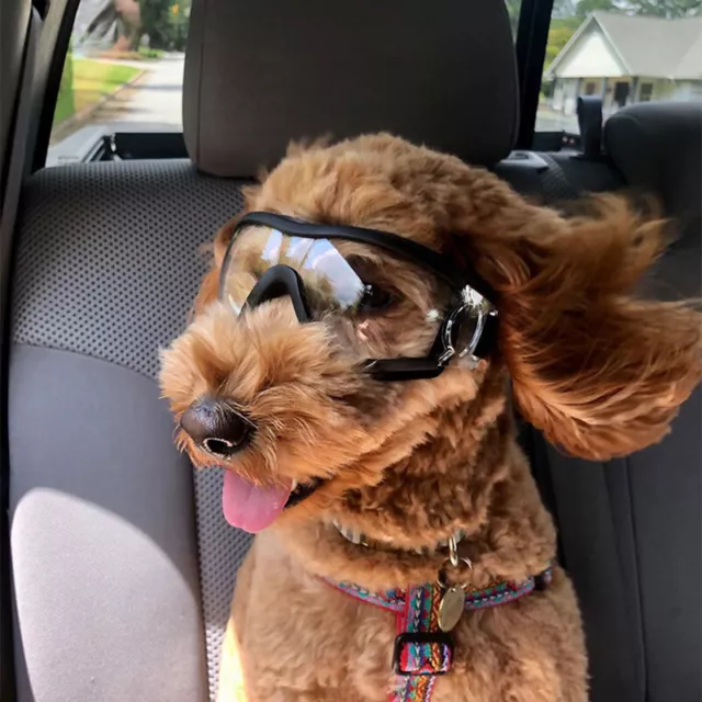 Occhiali per cani lenti trasparenti occhiali protezione occhi UV per cani di taglia media grande