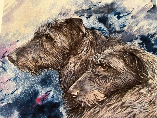 Scottish Deerhound Heads Color Ltd Ed 11x17 Print By Van Loan