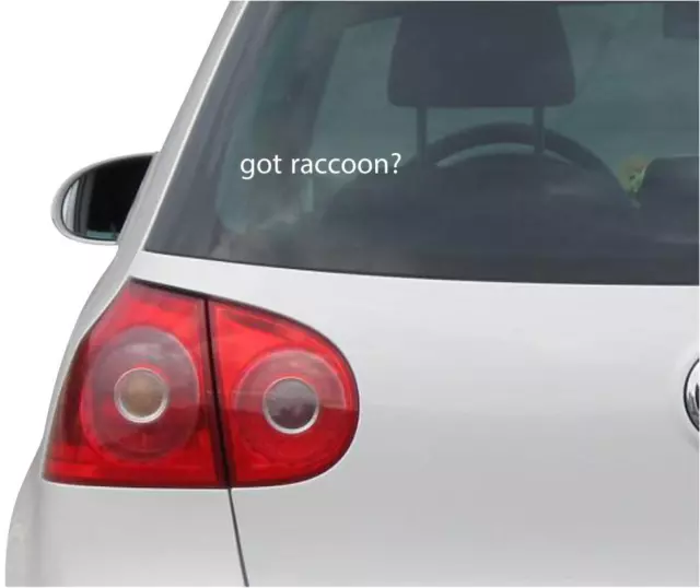 Aufkleber / Autoaufkleber - JDM - Got Raccoon? Decal - 149mmx25mm US03208